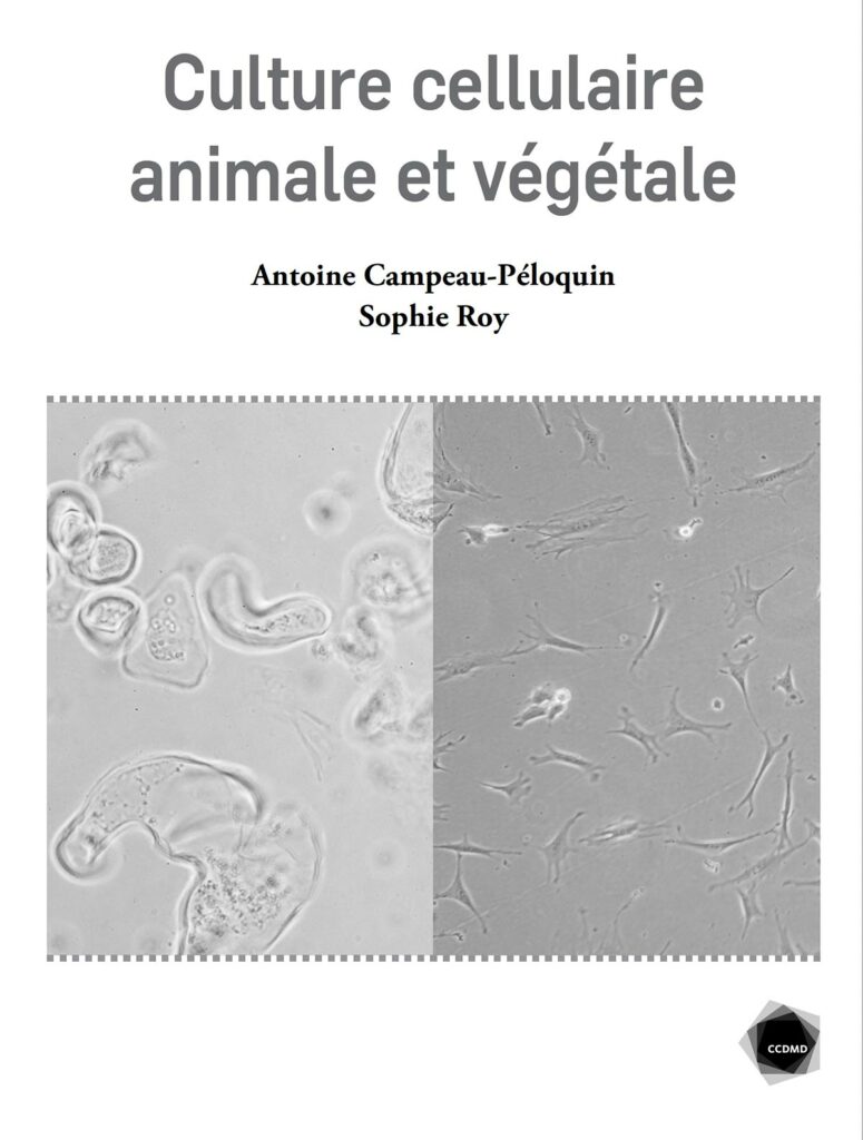 Culture cellulaire animale et végétale - Image 2