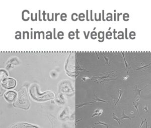 Culture cellulaire animale et végétale - Image 1