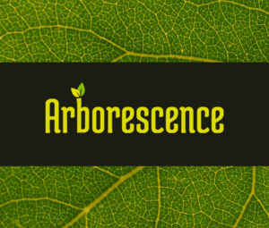 Arborescence - Image 1