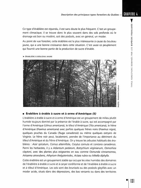Description écologique des forêts du Québec - Image 4