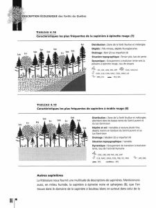 Description écologique des forêts du Québec - Image 3