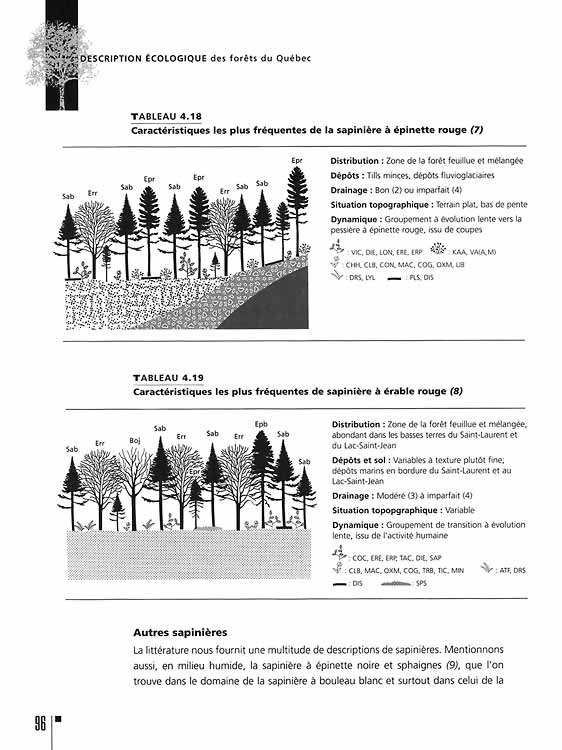 Description écologique des forêts du Québec - Image 3