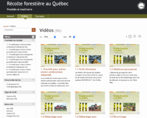 Récolte forestière au Québec - Image 2