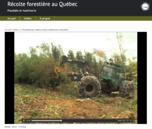 Récolte forestière au Québec - Image 3
