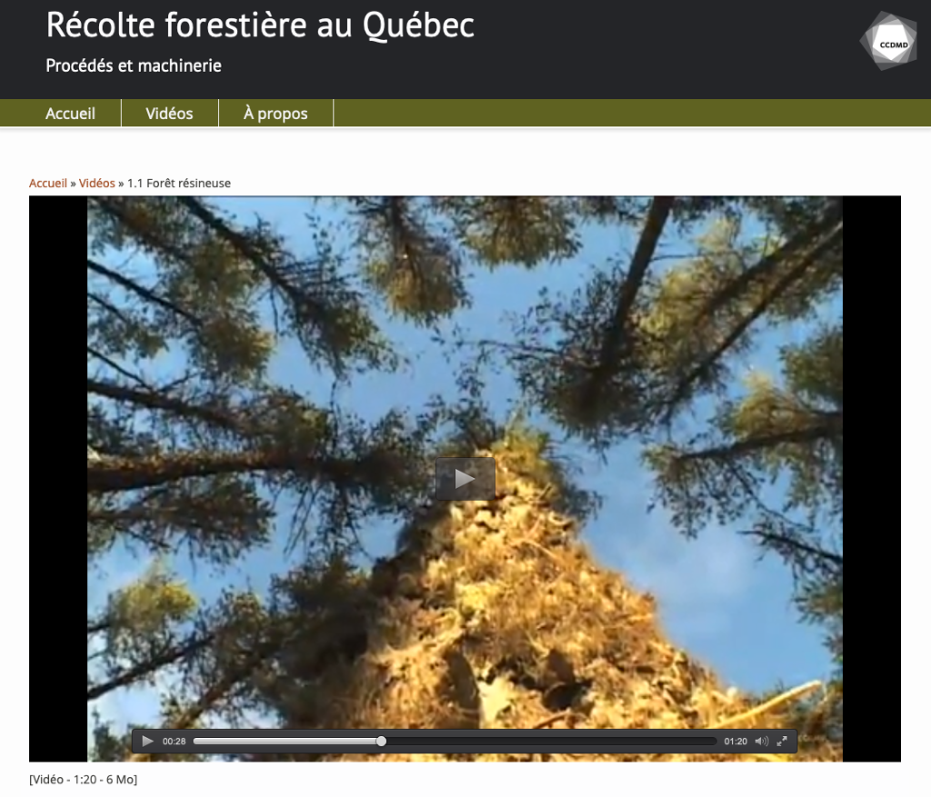 Récolte forestière au Québec - Image 4